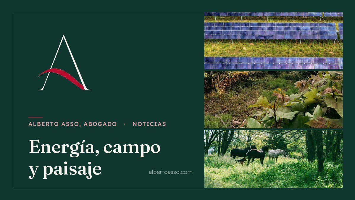 Energía, campo y paisaje: placas solares sobre pradera, regeneración del bosque y caballos pastando en un encinar